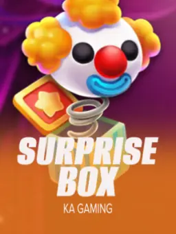 Surprise Box
